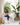 RATTAN FURNITURE Akihiro Cozy Double Cradle Hanging Basket from RATTAN FURNITURE