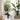 RATTAN FURNITURE Akihiro Cozy Double Cradle Hanging Basket from RATTAN FURNITURE
