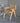 RATTAN FURNITURE Haejin Elegant Solid Wood Dining Chair from RATTAN FURNITURE