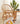 RATTAN FURNITURE Jisoo Elegant Handmade Photo Prop Bookshelf from RATTAN FURNITURE