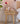 RATTAN FURNITURE Zenji Solid Wood Modular Storage Bed System from RATTAN FURNITURE