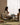 ROOOOM Isadora Elegant Modern Bay Window Coffee Table from ROOOOM