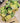RUG HOME Aeliana Lush Green Moss Floor Mat from RUG HOME