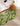 RUG HOME Aeliana Lush Green Moss Floor Mat from RUG HOME