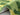 RUG HOME Aeliana Lush Green Moss Floor Mat from RUG HOME
