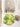 RUG HOME Aeliana Lush Green Moss Floor Mat from RUG HOME