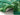 RUG HOME Aeliana Lush Green Moss Floor Mat from RUG HOME