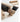 RUG HOME Akihiko Sleek Minimalist Japanese Coffee Table from RUG HOME