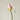 JUHAN Isadora Lush Handmade Green Plant Decorative Ornament from JUHAN
