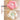 PEANUTS Shizuoka Light Luxury Bay Window Cushion from PEANUTS