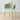 MEIYIJIA Isolde Stylish Plastic High Chair from MEIYIJIA