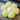 MESSIAH Juniper Soft Floral Tatami Office Pillow from MESSIAH