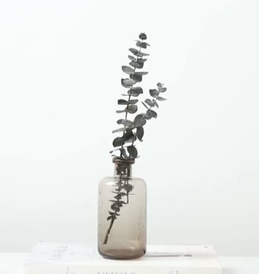 LIVETAI Elowen Elegant Transparent Floral Vase from LIVETAI