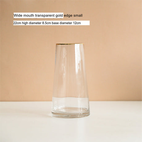 LIVETAI Isolde Majestic Hammered Design Hyper-Transparent Hydroponic Pot from LIVETAI