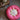 DISPLAY ASIANART Marisol Deluxe Handcrafted Tatami Futon from DISPLAY ASIANART