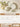 MH Elowen Vibrant Ceramic Chopstick Set from MH