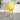 WANMEI Kyoto Transparent Chic Dining Chair from WANMEI