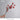 LIVETAI Celestine Exotic Nutty Delight Simulation Snack from LIVETAI