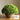 JUHAN Isolde Lush Greenery Decorative Potted Plant from JUHAN