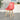 WANMEI Kyoto Transparent Chic Dining Chair from WANMEI