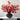 LIVETAI Isadora Elegant Black Ceramic Vase Decor from LIVETAI