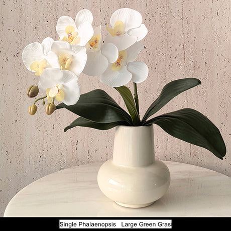LIVETAI Aveline Elegant Round Ceramic Vase - Luxury Living Room Decor from LIVETAI