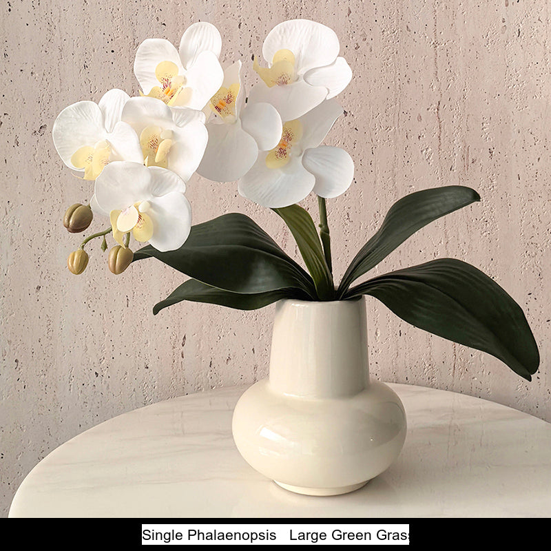 LIVETAI Aveline Elegant Round Ceramic Vase - Luxury Living Room Decor from LIVETAI