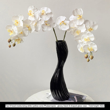 LIVETAI Marisol Elegant Modern Glass Vase from LIVETAI