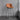 ABOUT WHITE Jindal Sleek Nordic Luxury Bar Stool from ABOUT WHITE