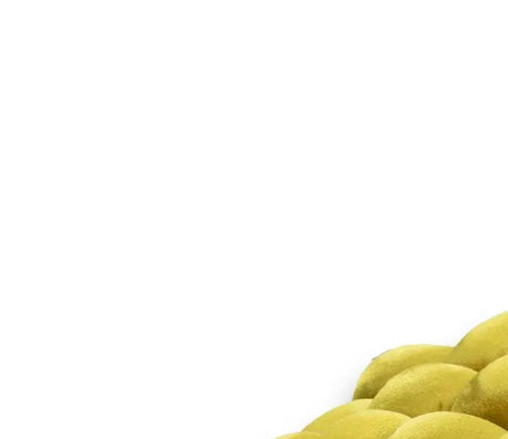 YOULI Cleo Creative Soft Cushion Cozy Chair Pad from YOULI