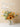LIVETAI Athos Elegant Transparent Flowerpot Small Vase from LIVETAI