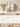 MH Elowen Vibrant Ceramic Chopstick Set from MH