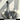 LIVETAI Isadora High-Quality Spacious Teapot Luxury Style from LIVETAI