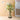 LIVETAI Athos Elegant Transparent Flowerpot Small Vase from LIVETAI