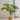 JUHAN Kaori Stylish LED Plant Lamp Indoor Décor from JUHAN