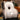 PEANUTS Santiago Ergonomic Comfort Waist Cushion from PEANUTS