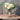 LIVETAI Athos Elegant Transparent Flowerpot Small Vase from LIVETAI