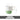 TIANRUN Haruki Elegant Snowflake Design Mouthwash Set from TIANRUN