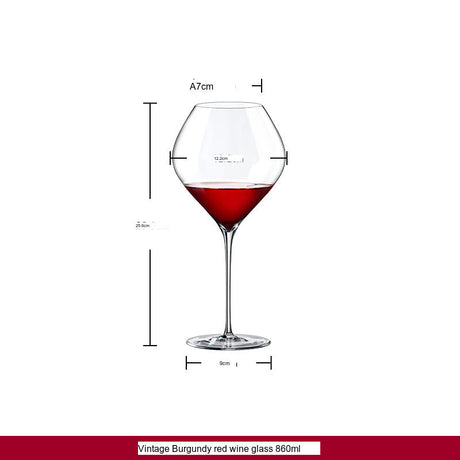 RONA Swan Wine Glass High-End Glossy Set from RONA