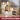 EASYREST Isidora Multi-Layer Storage System Simple Bookcase from EASYREST