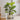 JUHAN Kaori Stylish LED Plant Lamp Indoor Décor from JUHAN