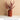 LIVETAI Celestine Exotic Nutty Delight Simulation Snack from LIVETAI