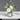 LIVETAI Athos Elegant Transparent Flowerpot Small Vase from LIVETAI