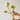 JUHAN Isadora Lush Handmade Green Plant Decorative Ornament from JUHAN