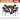 WEIMEI Santiago Elegant Wooden Highchair from WEIMEI