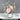 LIVETAI Athos Elegant Transparent Flowerpot Small Vase from LIVETAI