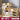 EASYREST Isidora Multi-Layer Storage System Simple Bookcase from EASYREST