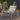 ZIYE Haruki Cozy Lounge Hanging Basket Cradle from ZIYE