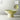JOTO Caspian Exquisite Ceramic High-Foot Fruit Plate from JOTO