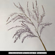 LIVETAI Isolde Elegant Dry Flower Arrangement Decoration from LIVETAI